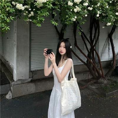 三只小猪